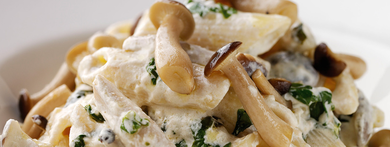 Penne con Funghi Selvatici